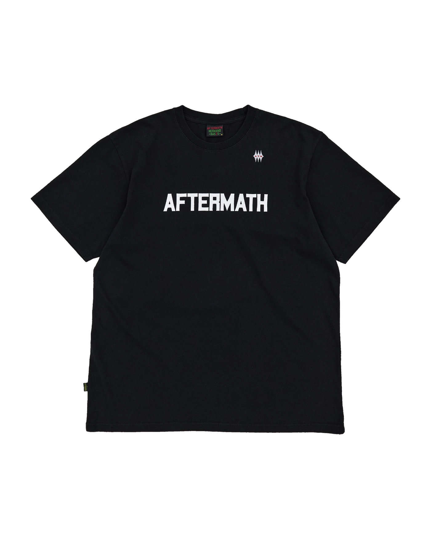 AFTERMATH PIG DYED TOUR TEE